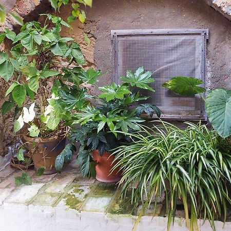 Casa Luján Villa Vejer de la Frontera Kültér fotó
