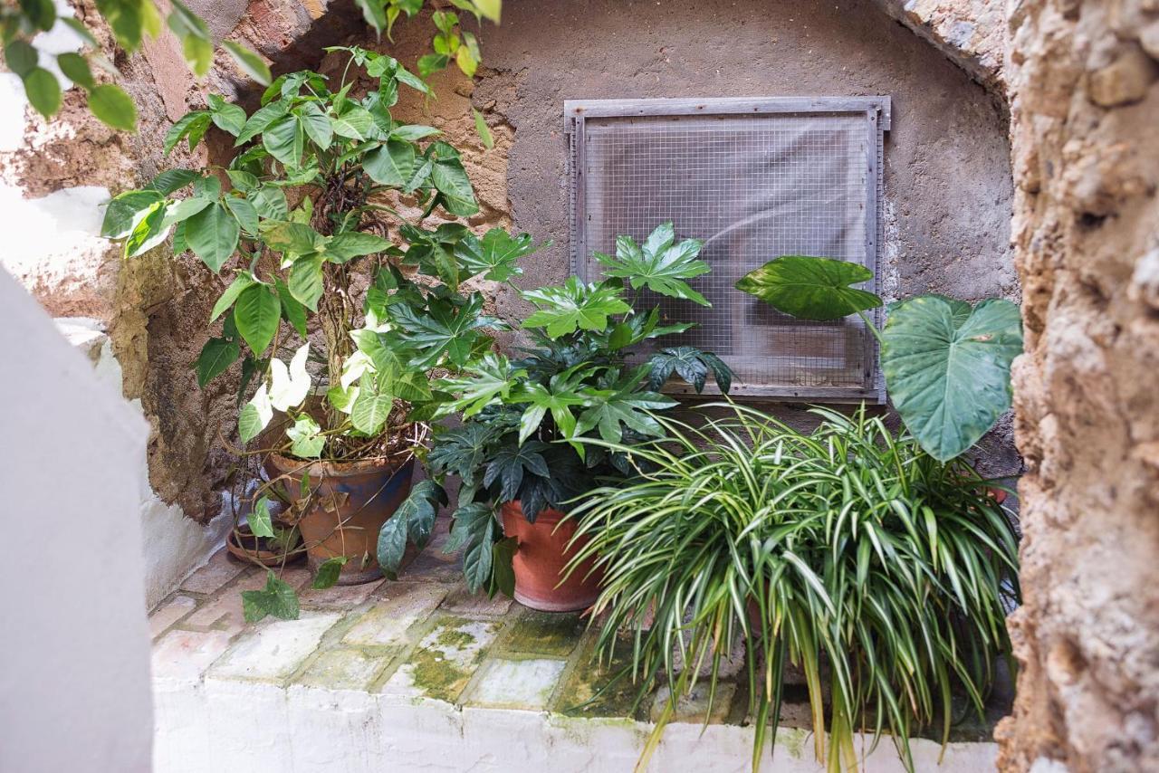 Casa Luján Villa Vejer de la Frontera Kültér fotó